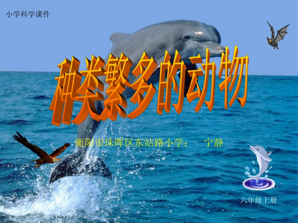 种类繁多的动物_第1页