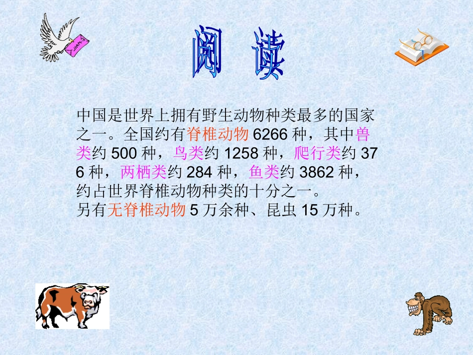 种类繁多的动物_第2页