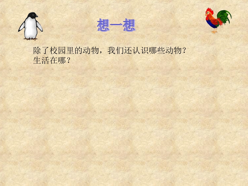 种类繁多的动物_第3页