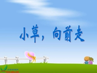 4小草_向前走