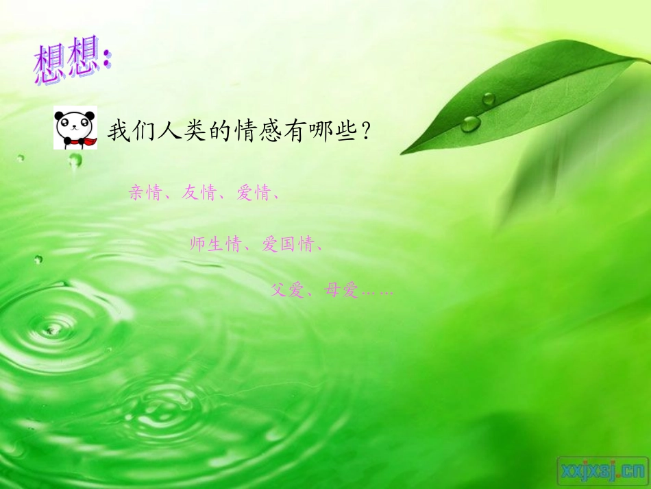 情感之声_课件_第2页