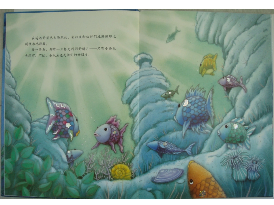 彩虹鱼和大鲸鱼_第2页