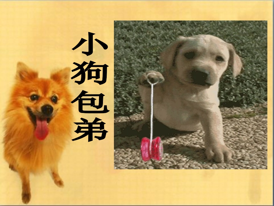 小狗包弟公开课_第3页