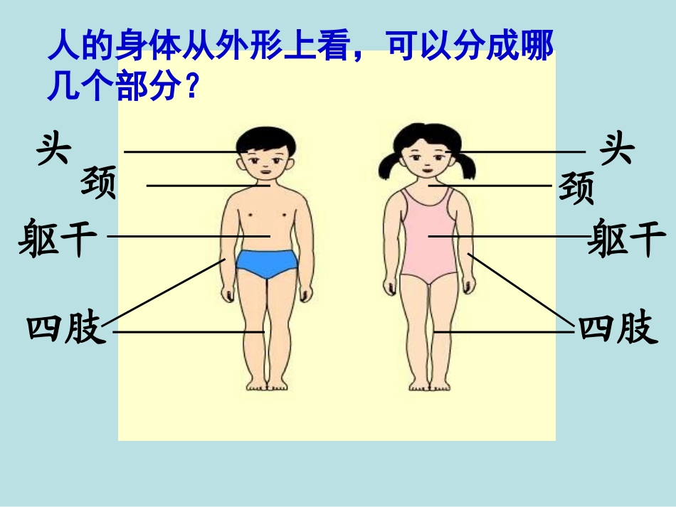 1身体的警戒线_第2页