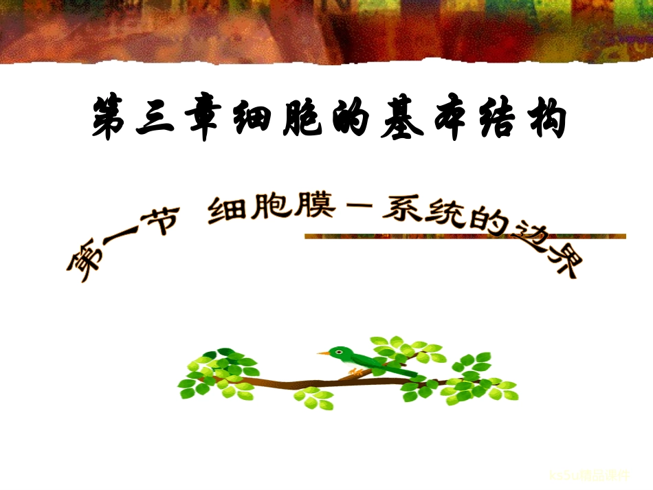 31细胞膜——系统的边界 (2)_第1页