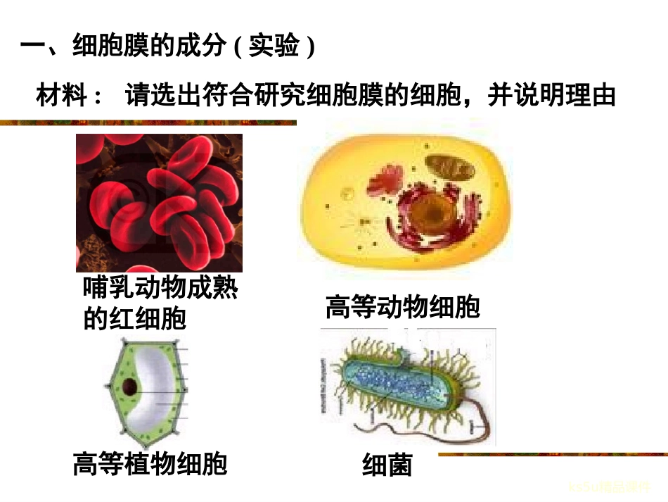 31细胞膜——系统的边界 (2)_第2页