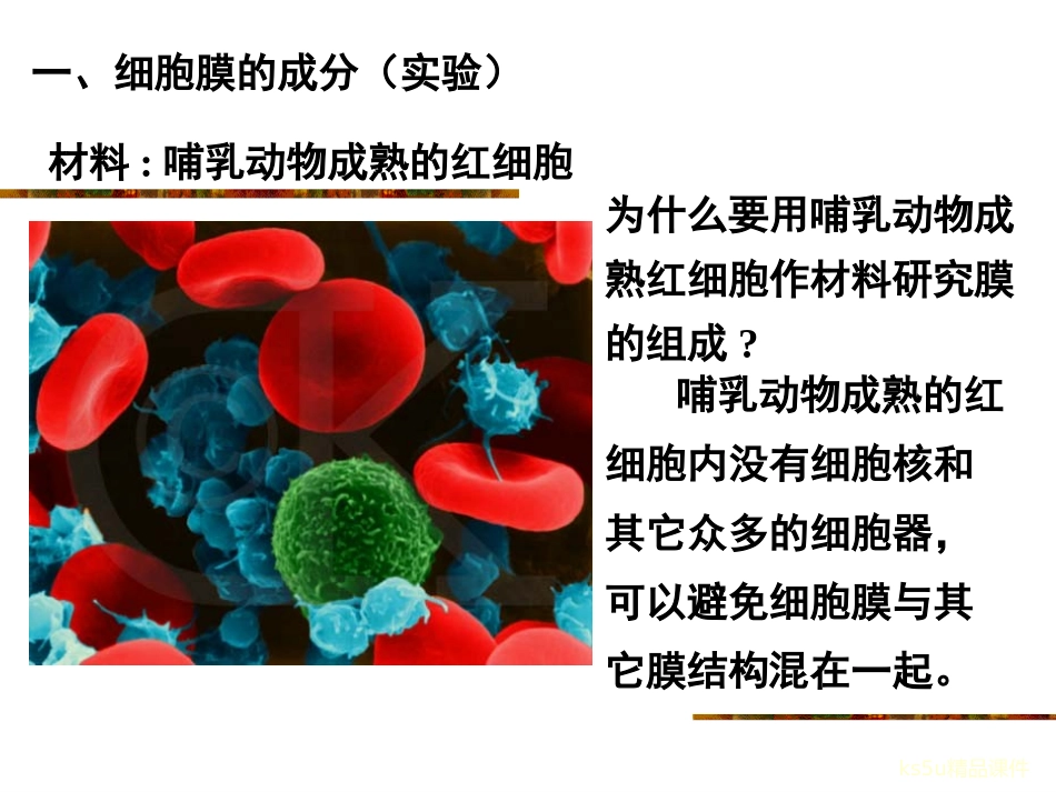 31细胞膜——系统的边界 (2)_第3页