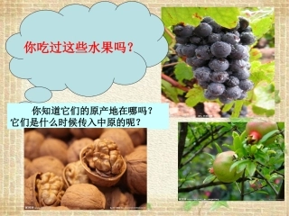 第15课汉通西域和丝绸之路