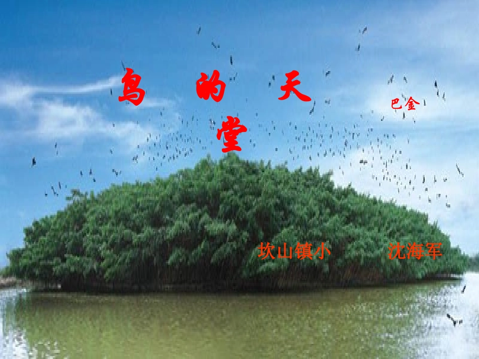 鸟的天堂 (6)_第1页