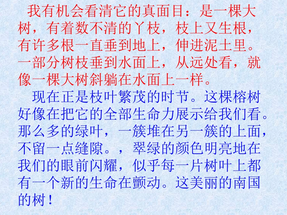 鸟的天堂 (6)_第3页
