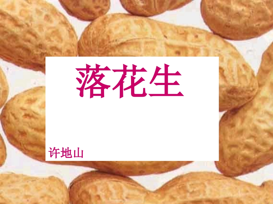 落花生优质课件_第1页