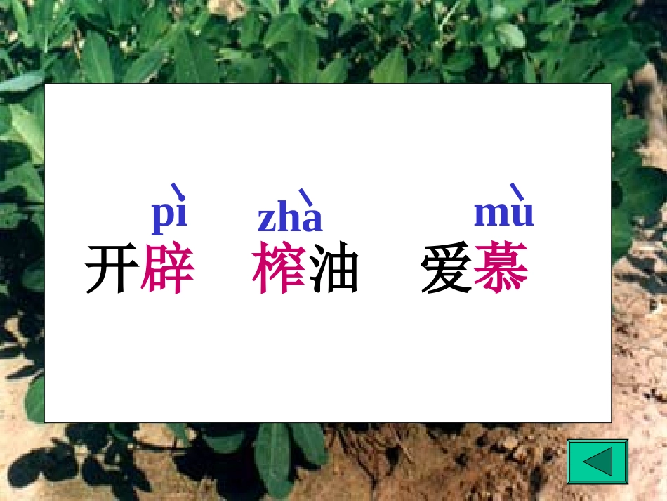 落花生优质课件_第3页