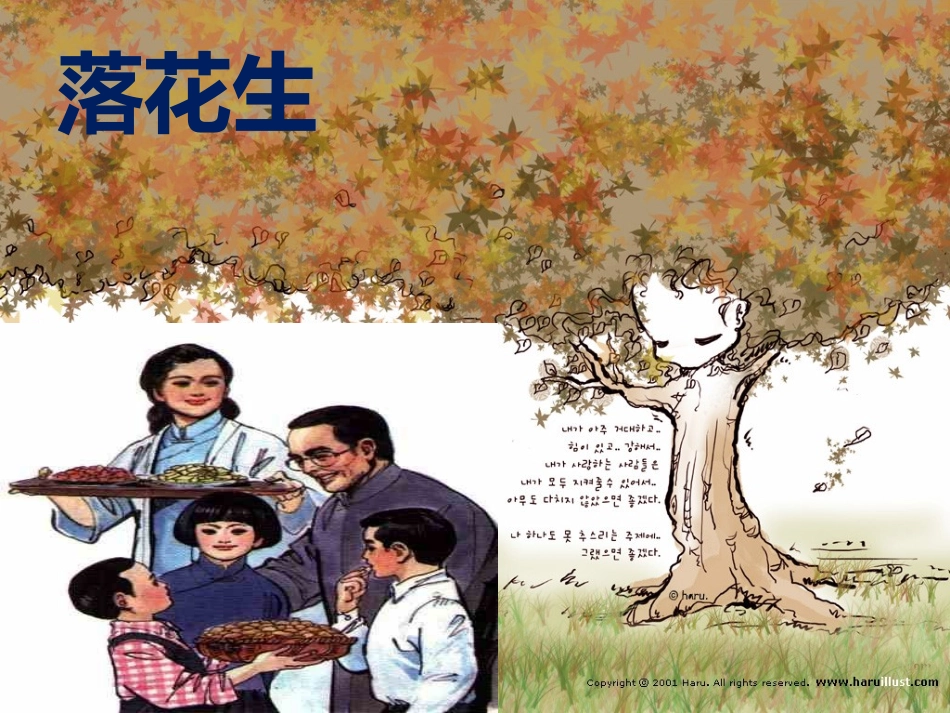 落花生1ppt_第2页