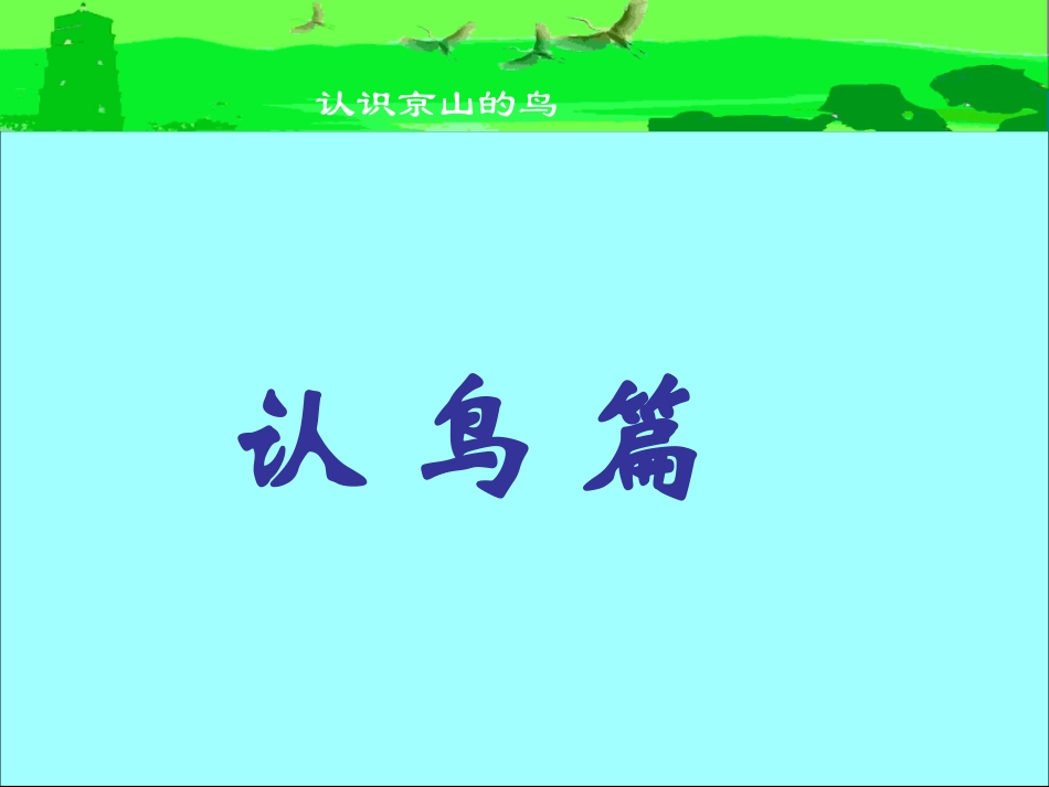 认识京山的鸟_第2页