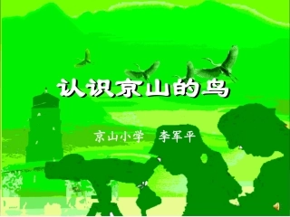 认识京山的鸟