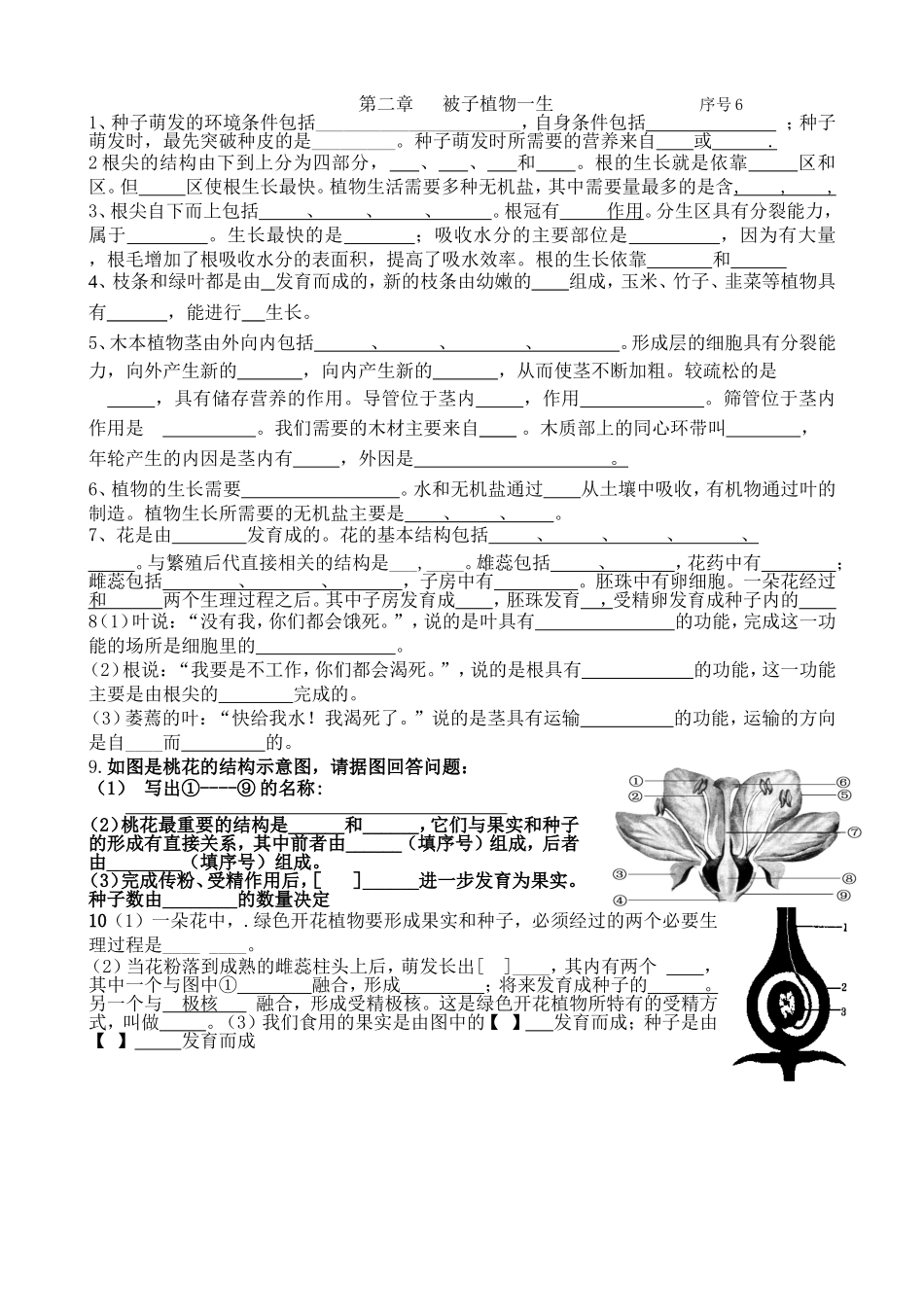 被子植物的一生_第1页