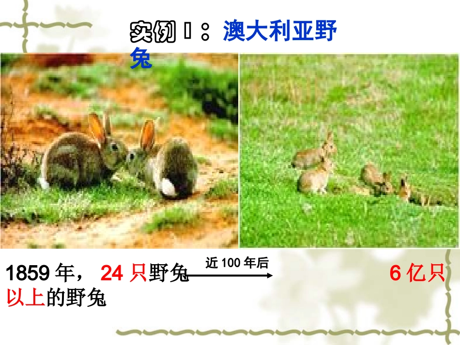 §42种群数量的变化“S”型曲线_第2页