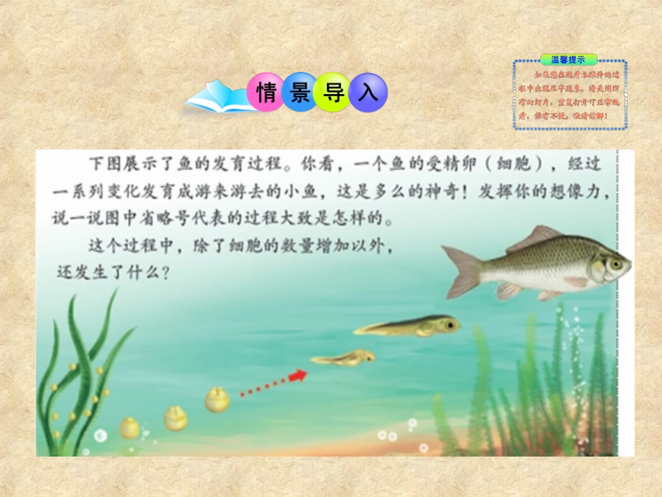 第二节动物体的结构层次_第2页