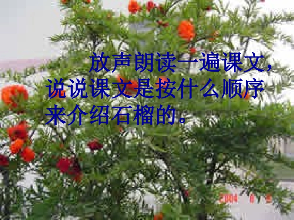 第三课《石榴》_第3页