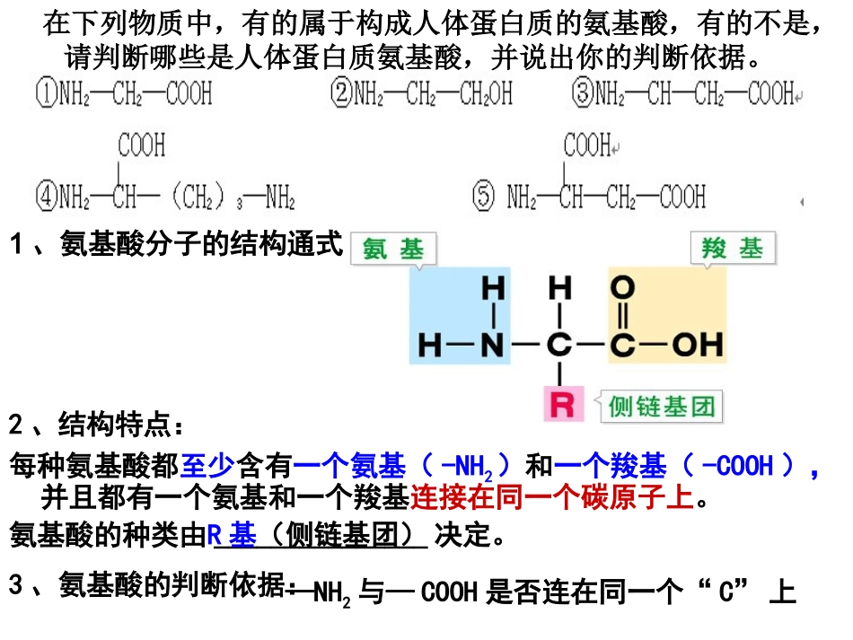 蛋白质上课用_第3页