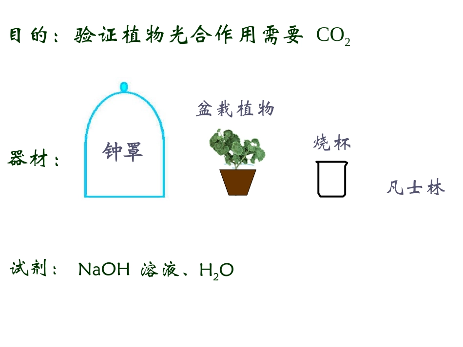 光合作用过程_第2页