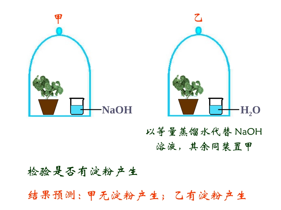 光合作用过程_第3页