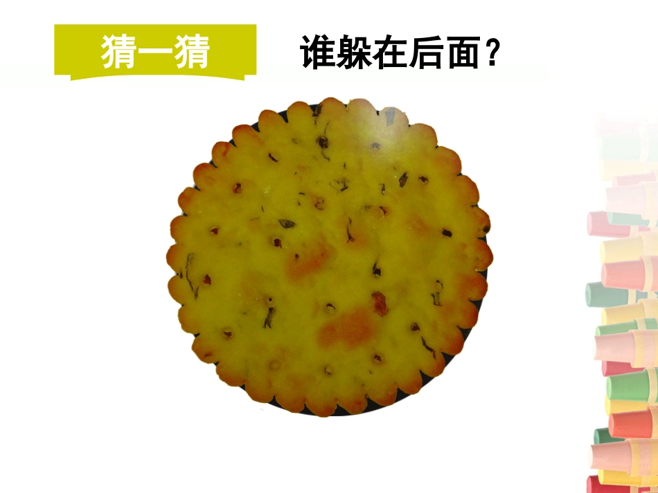 圆的世界课件_第2页