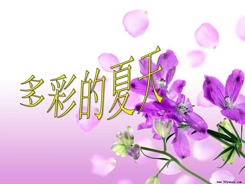 第六板块多彩的夏天 (4)_第1页