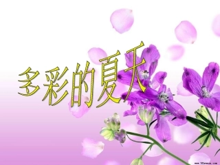 第六板块多彩的夏天 (4)