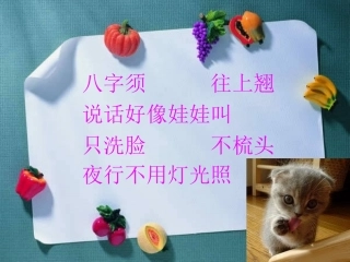 8卡罗尔和她的小猫 (2)