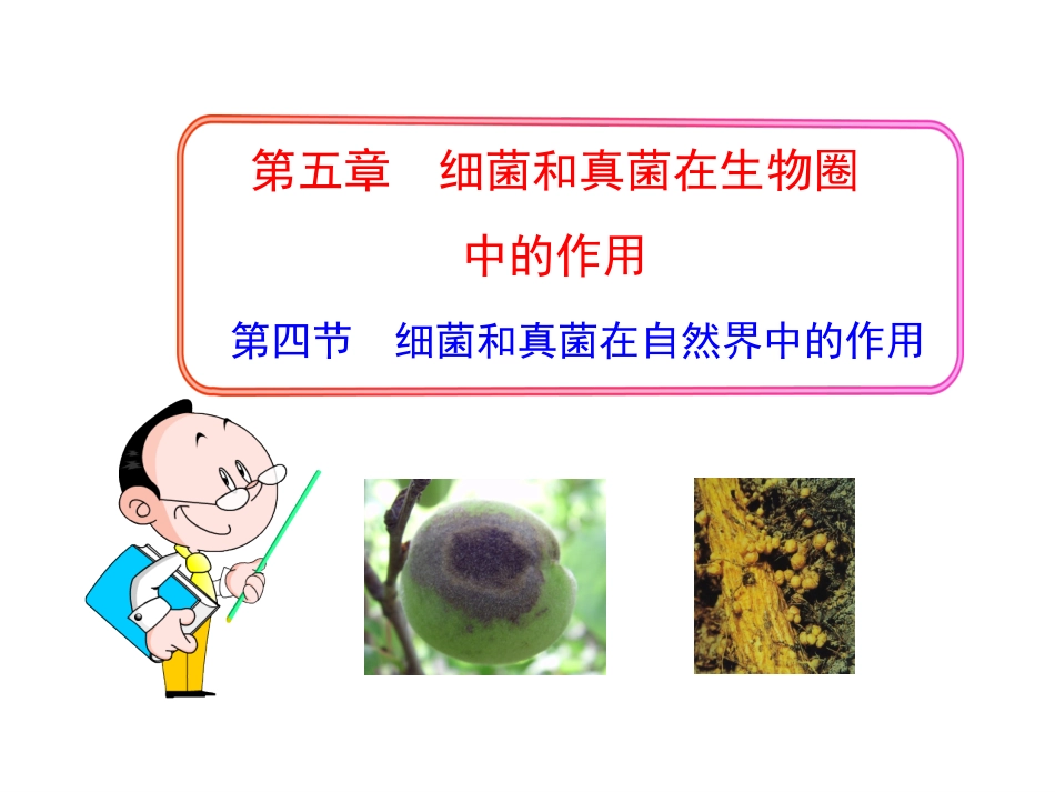第四节细菌和真菌在自然界中的作用_第1页