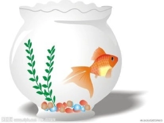 看图写话：我的小鱼