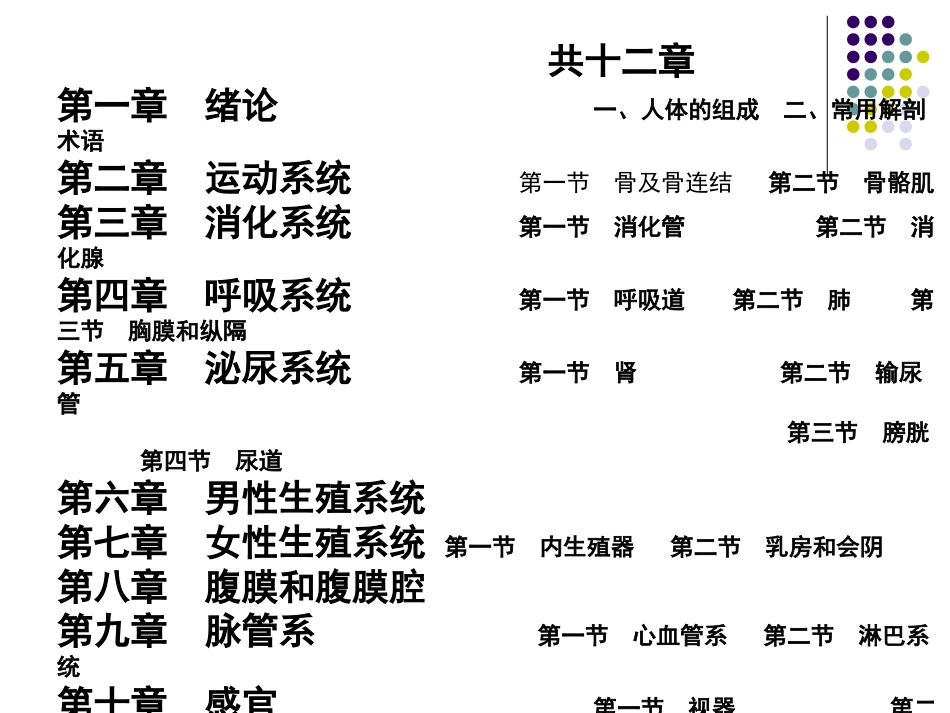 人体解剖学课件_第2页