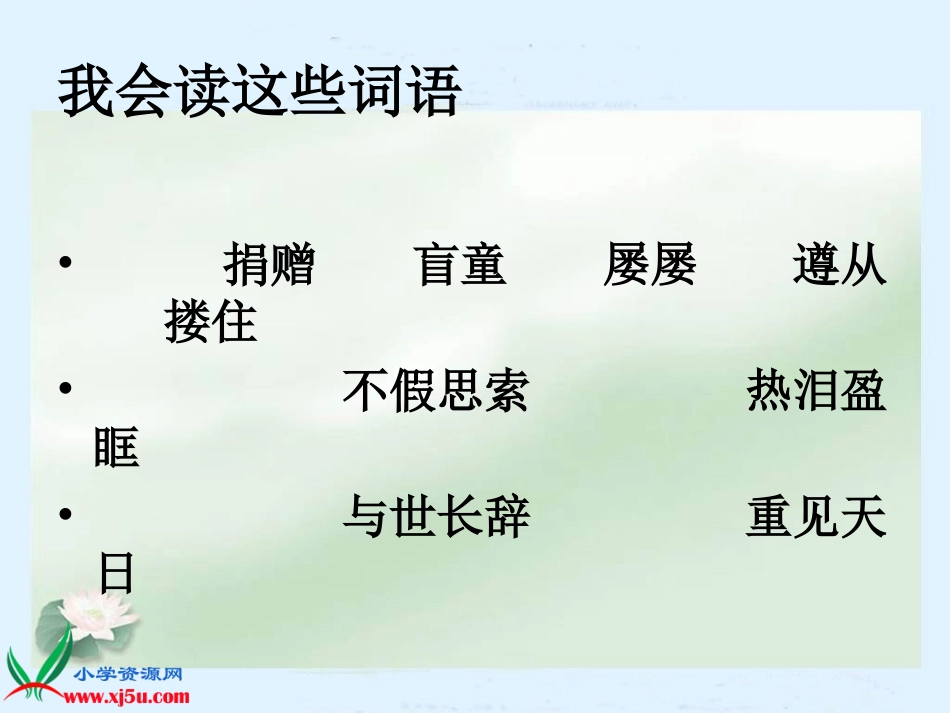 永生的眼睛课件_第2页