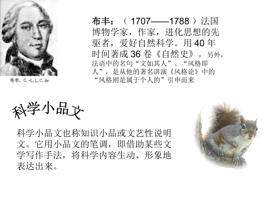 《松鼠》课件_第3页