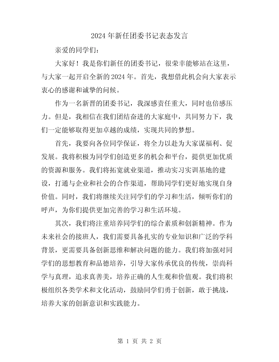 2024年新任团委书记表态发言 _第1页