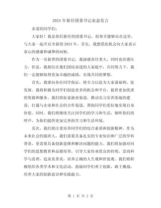 2024年新任团委书记表态发言 