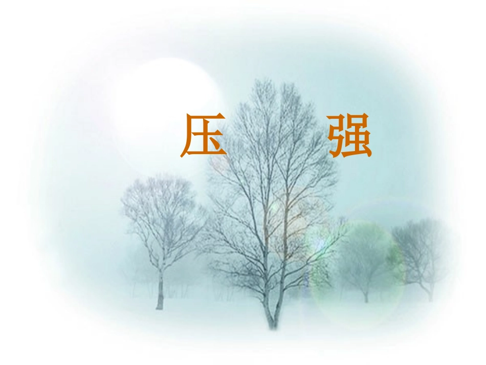 吴海飞压强课件_第3页