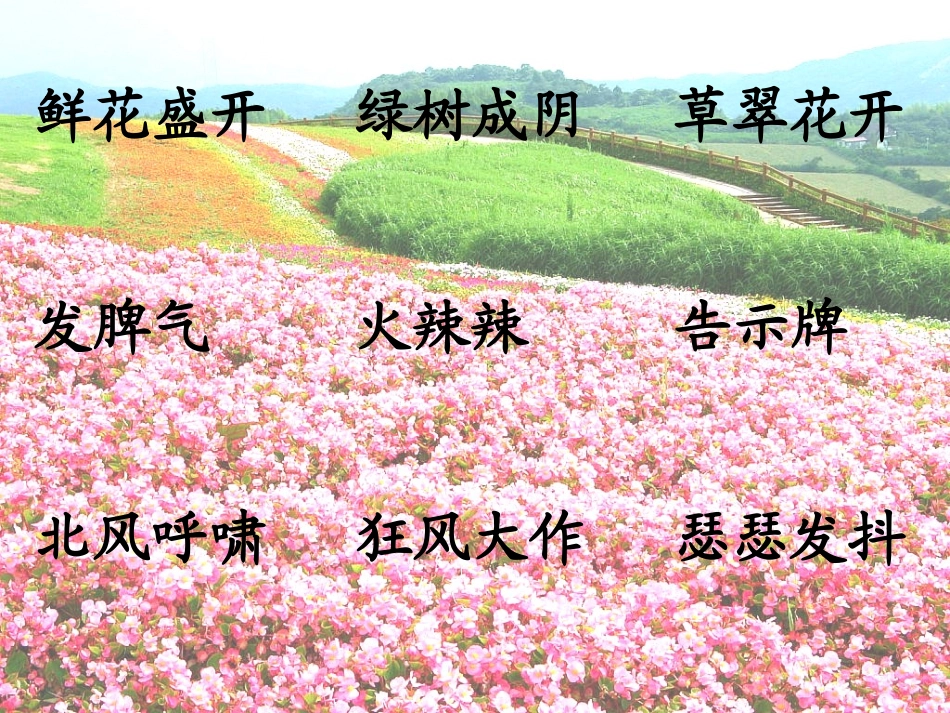 9巨人的花园 (2)_第2页