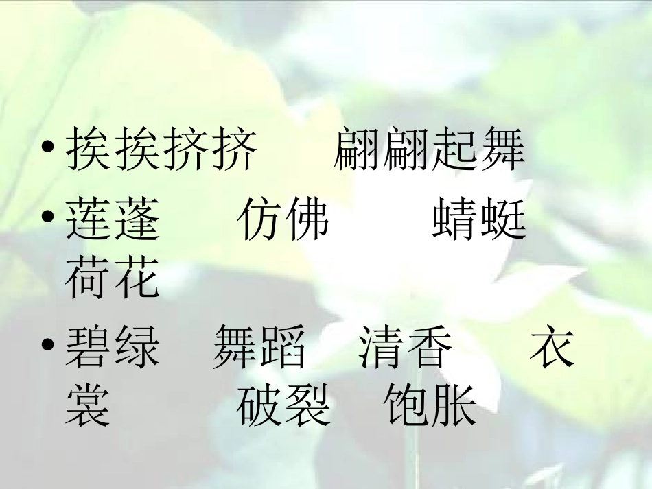 3课荷花课件_第2页