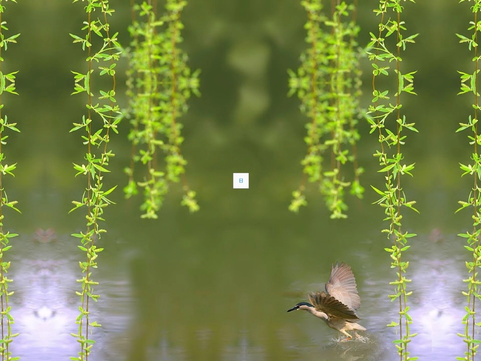 奇异的植物世界_第2页