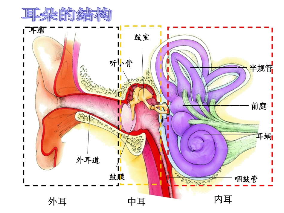 感知信息（改）_第3页