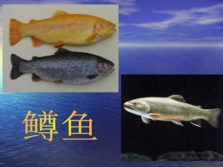 鳟鱼钢琴五重奏