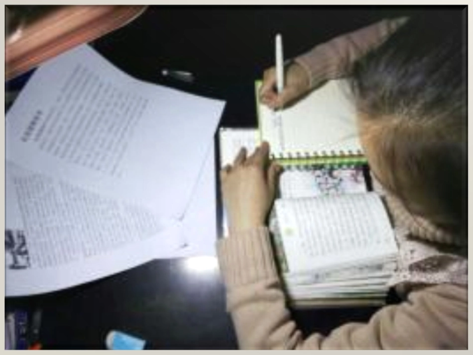 牛璐搜集资料_第2页