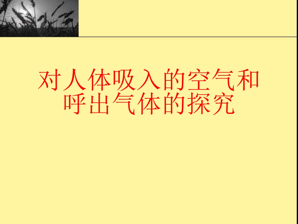 呼出气体的探究_第1页