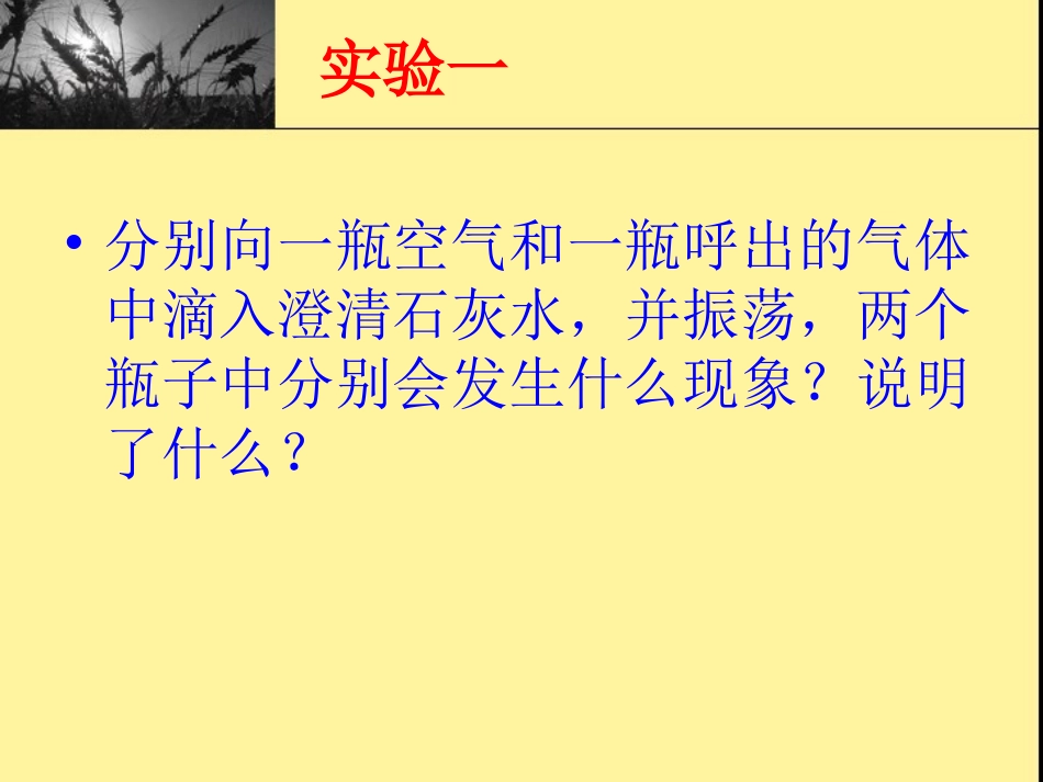 呼出气体的探究_第2页