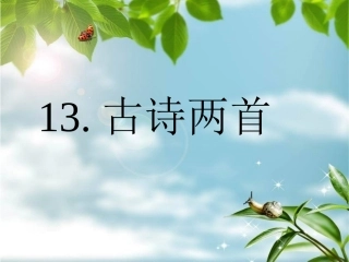 公开课《所见》