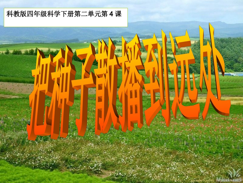 24把种子散播到远处_第2页