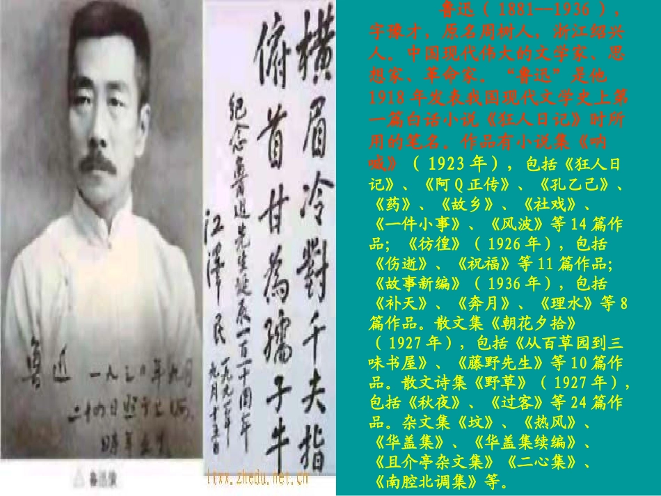 26《少年闰土》五下语文课件唐海玲_第2页