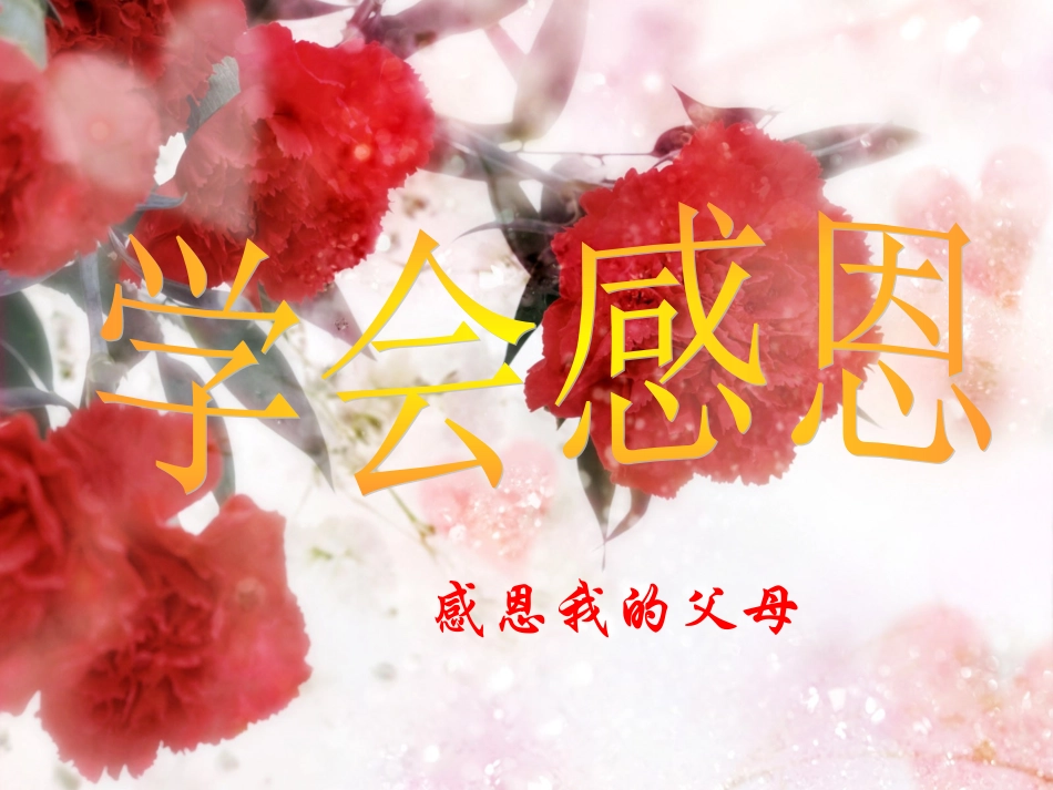 感恩父母幻灯片_第2页